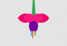 Google разрабатывает новую операционную систему Fuchsia