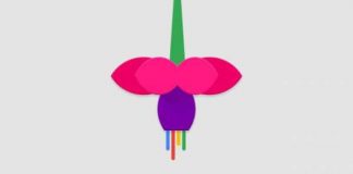 Google разрабатывает новую операционную систему Fuchsia