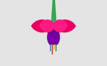 Google разрабатывает новую операционную систему Fuchsia