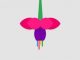 Google разрабатывает новую операционную систему Fuchsia